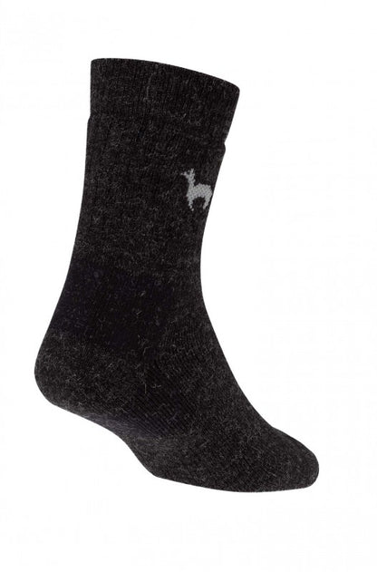 Alpaka Business Socken, dunkelgrau